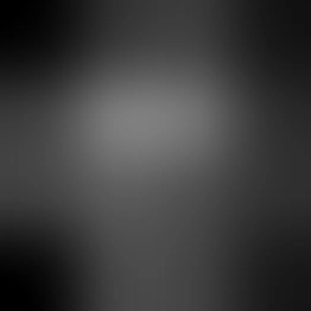 dust v0.1 - v1.3.11 preview