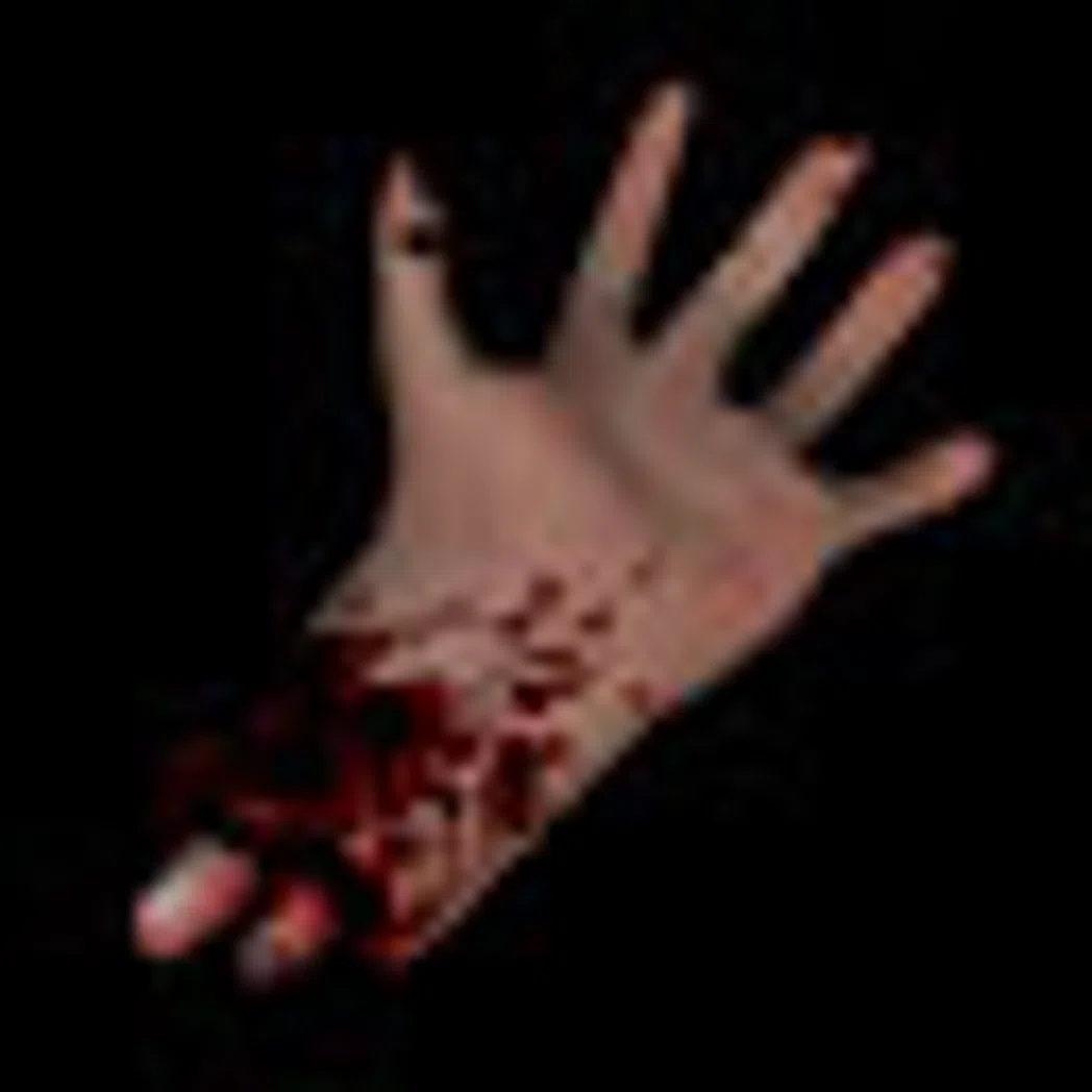 INVhand v1.0.4 - v1.3.11 preview