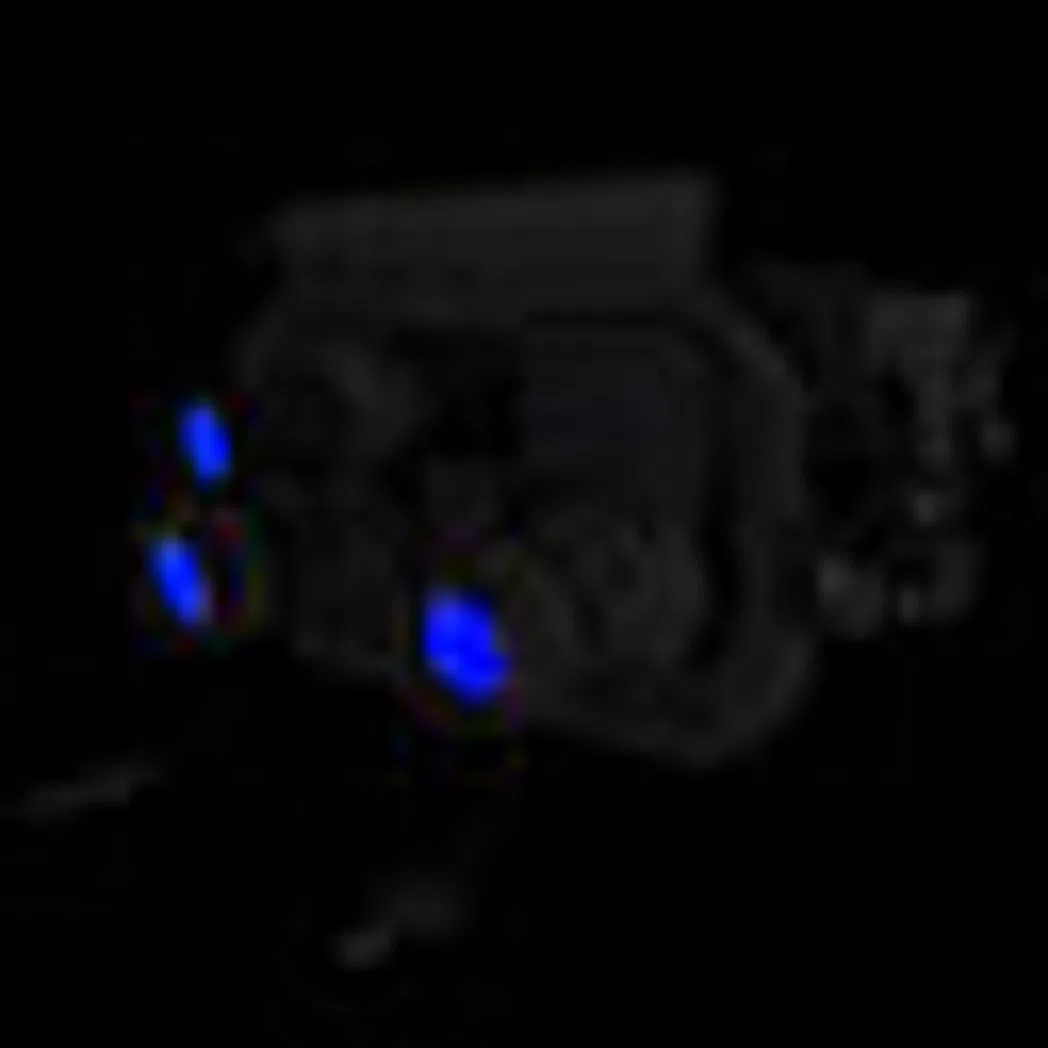 INVsupernightvision v1.1 - v1.3.11 preview
