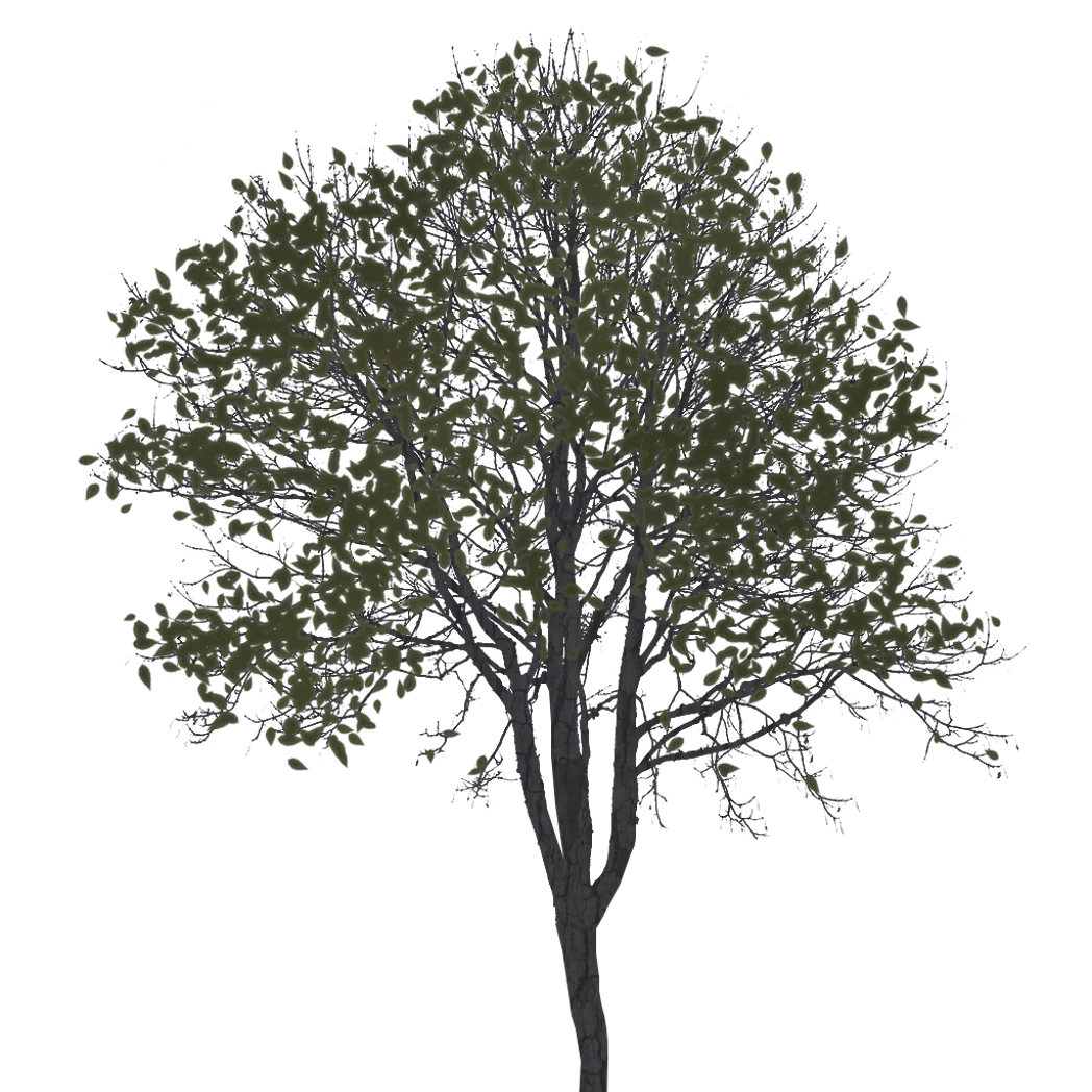 tree2 v1.0.0 - v1.3.11 preview