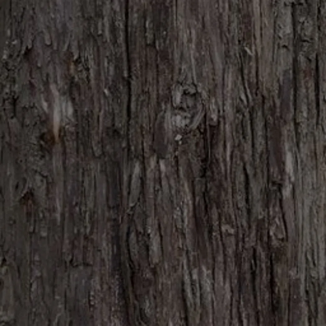 tree1 v0.6 - v1.3.11 preview