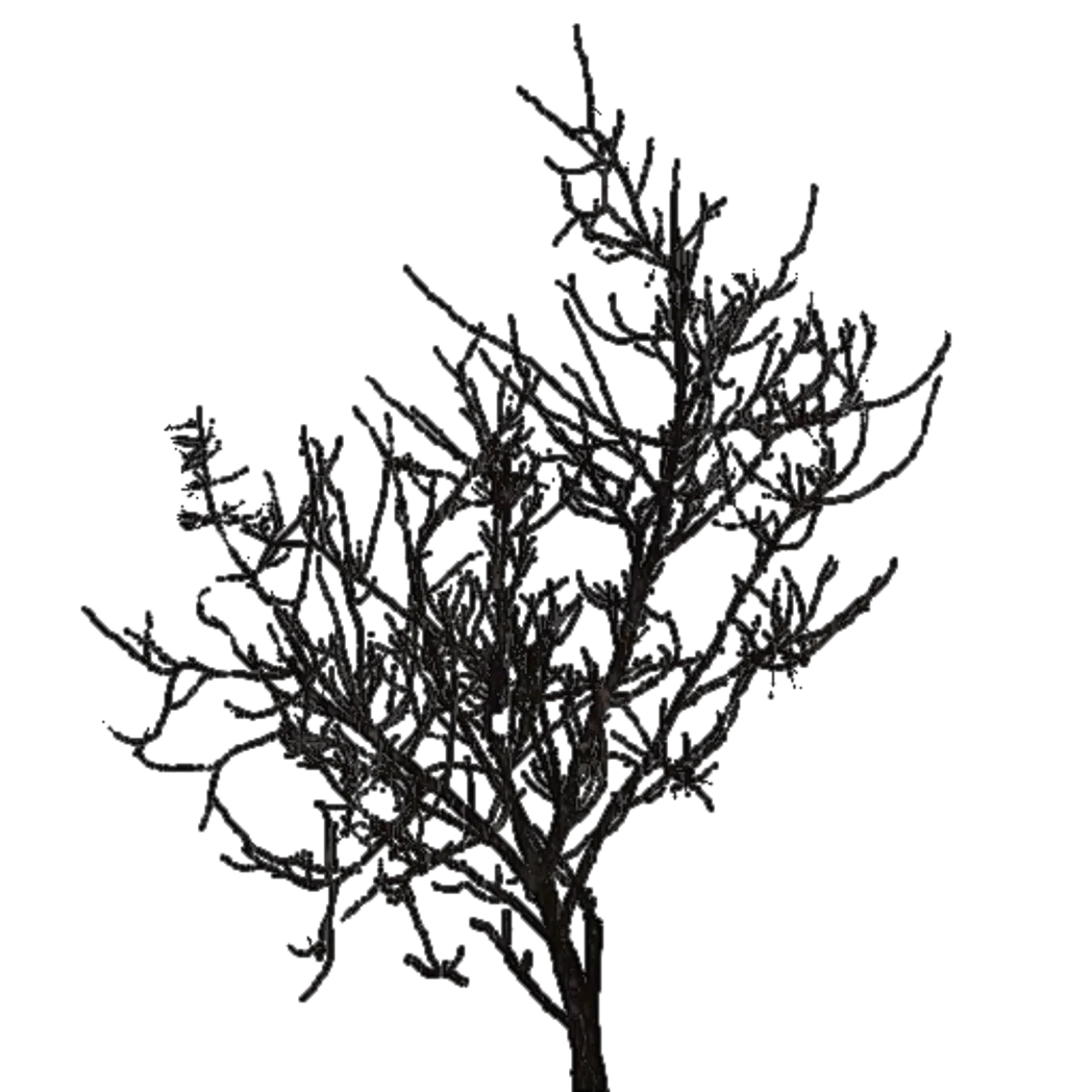 tree2 v0.6 - v1.3.11 preview
