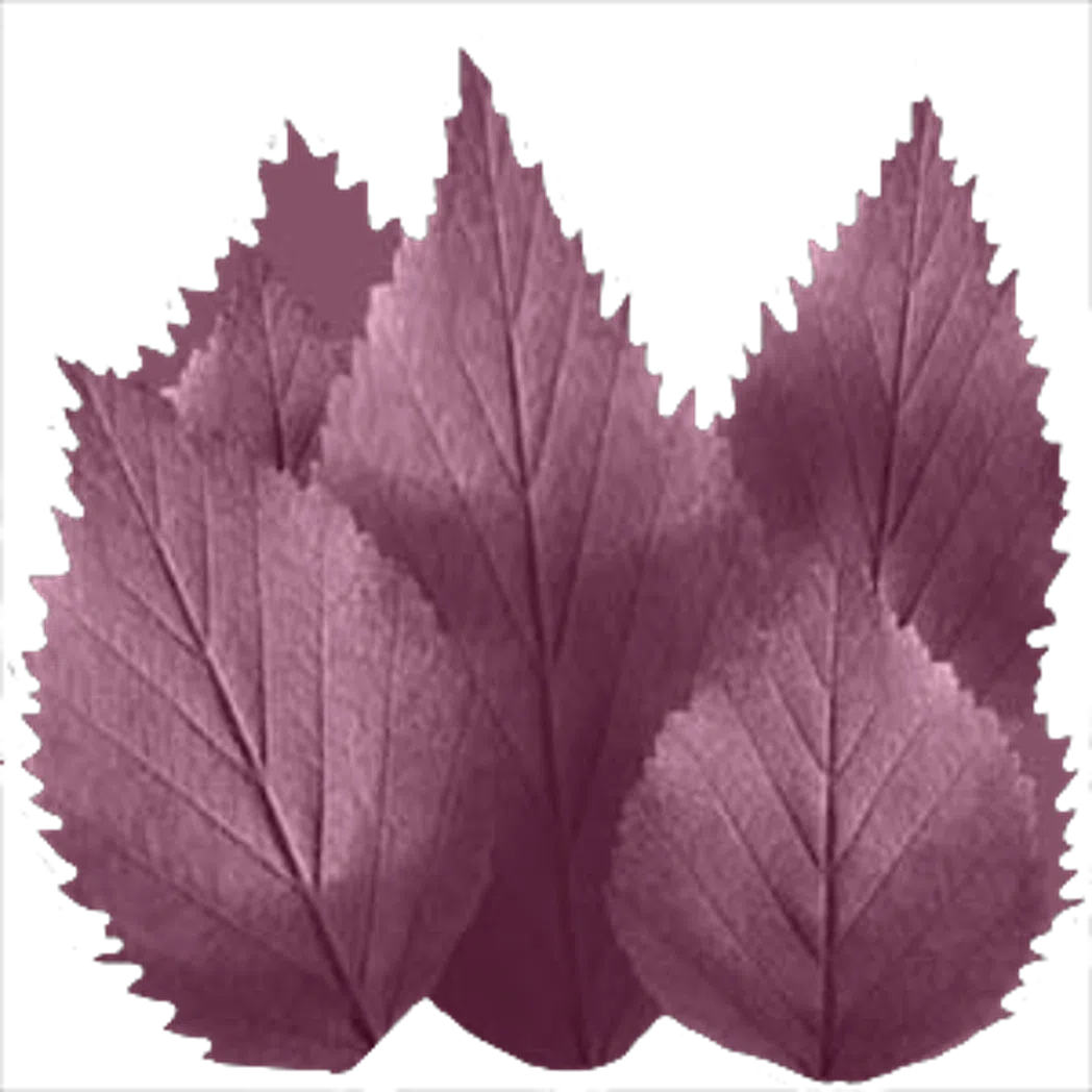 860_leaf v1.0.0 - v1.3.11 preview