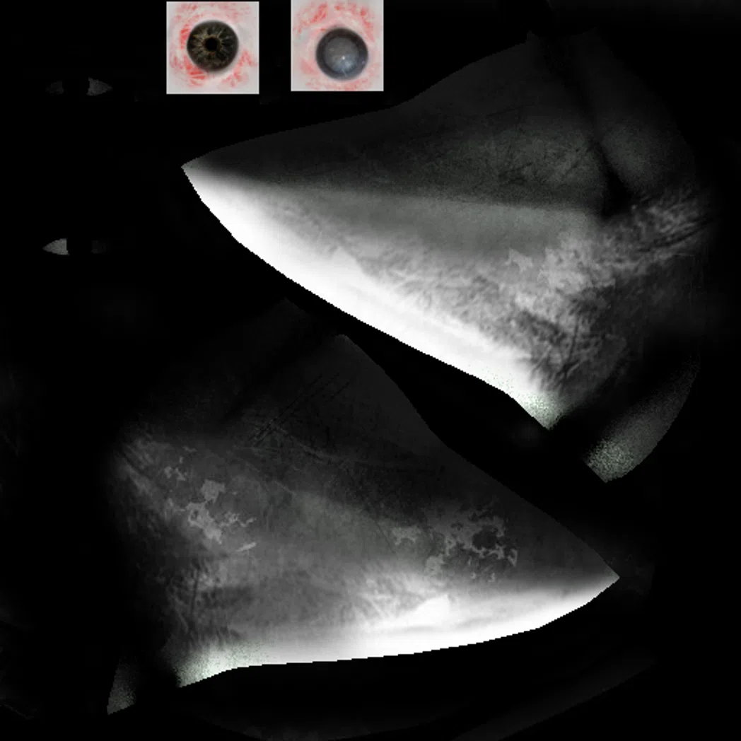 scp-049_mask_diffuse5 v0.7 - v0.9.3