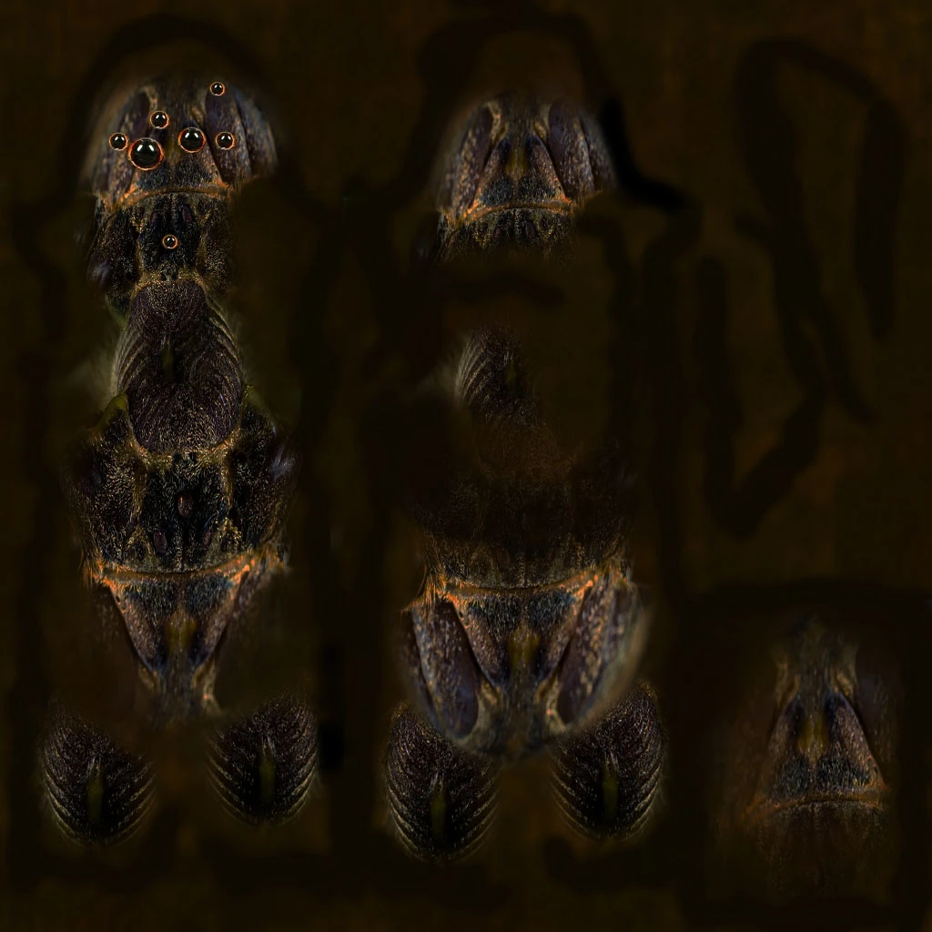 hazmat preview