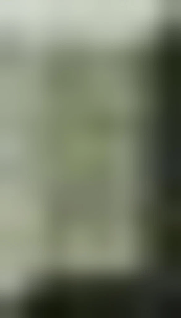 INW_2K_Meter_PREv0.2.1 original preview