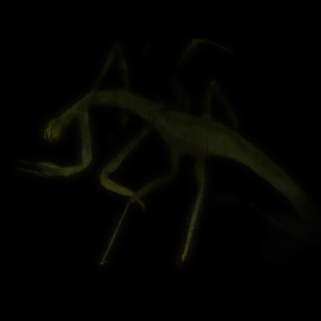 INWAchv372Remastered_Color_2K preview