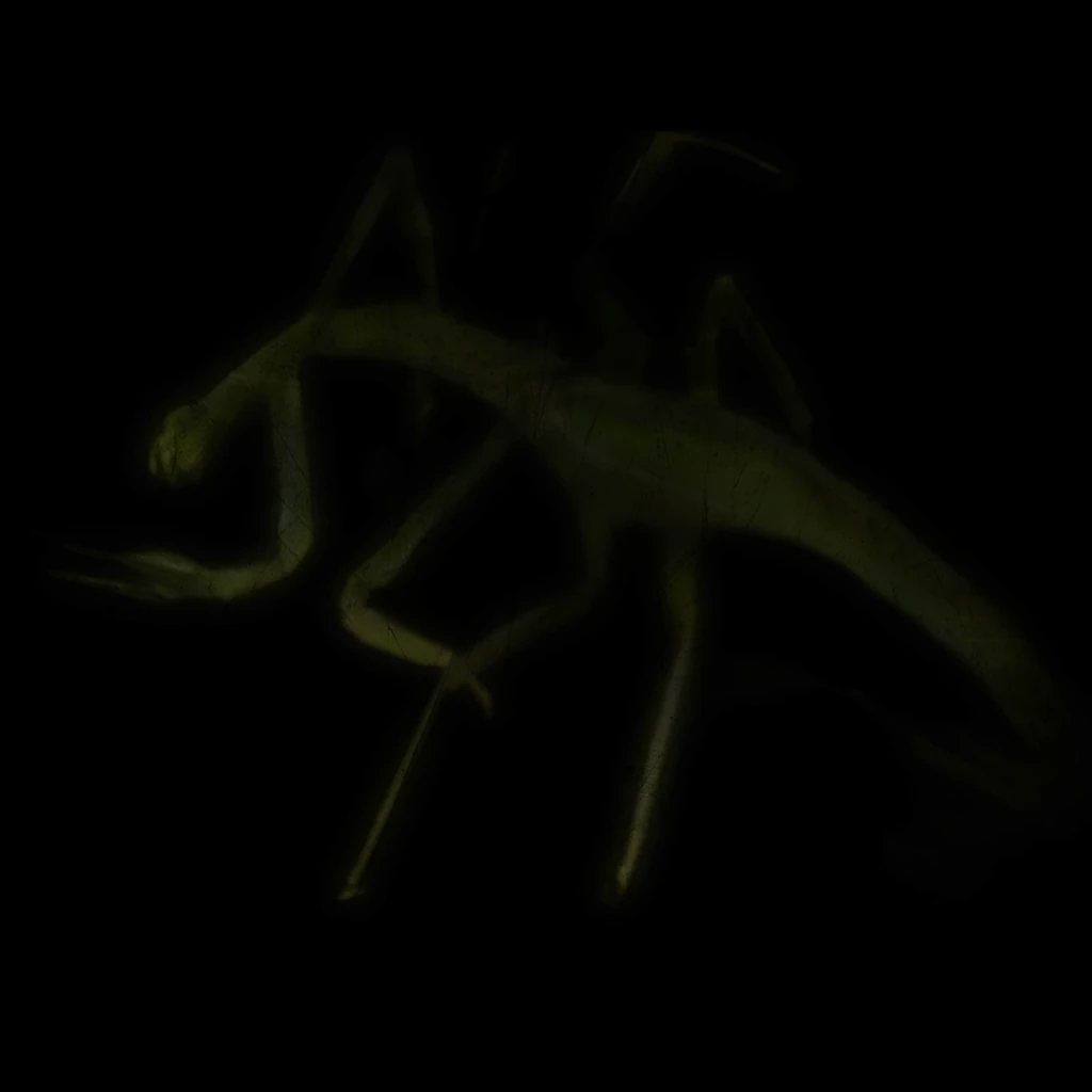 INWAchv372Remastered_Color_2K_STEAM preview