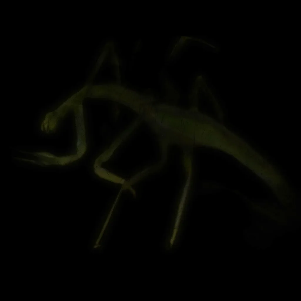 INW_2K_Achv372 preview