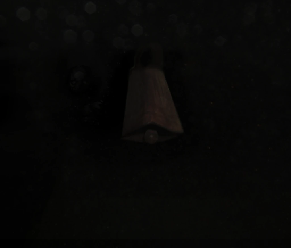 513 preview