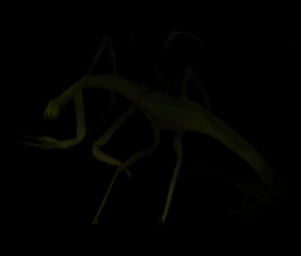 372-AI-Upscaled preview