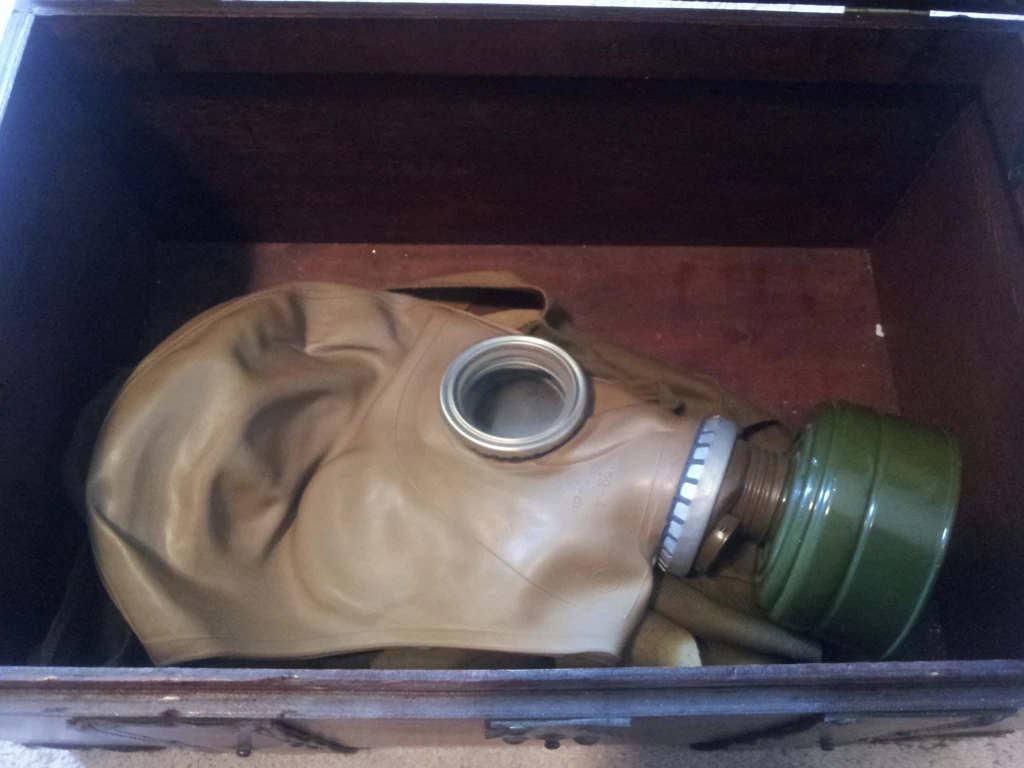 mask preview