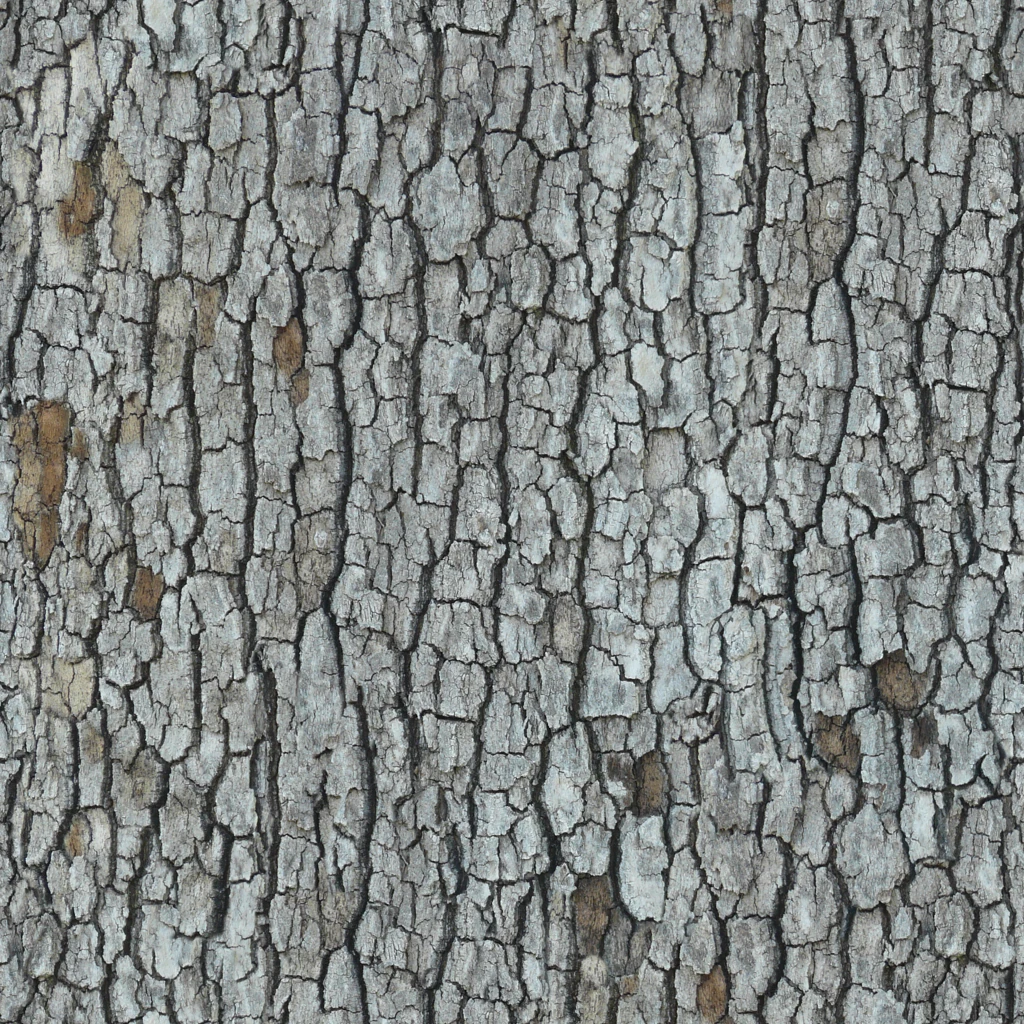 nature_bark_0014_02_tiled preview