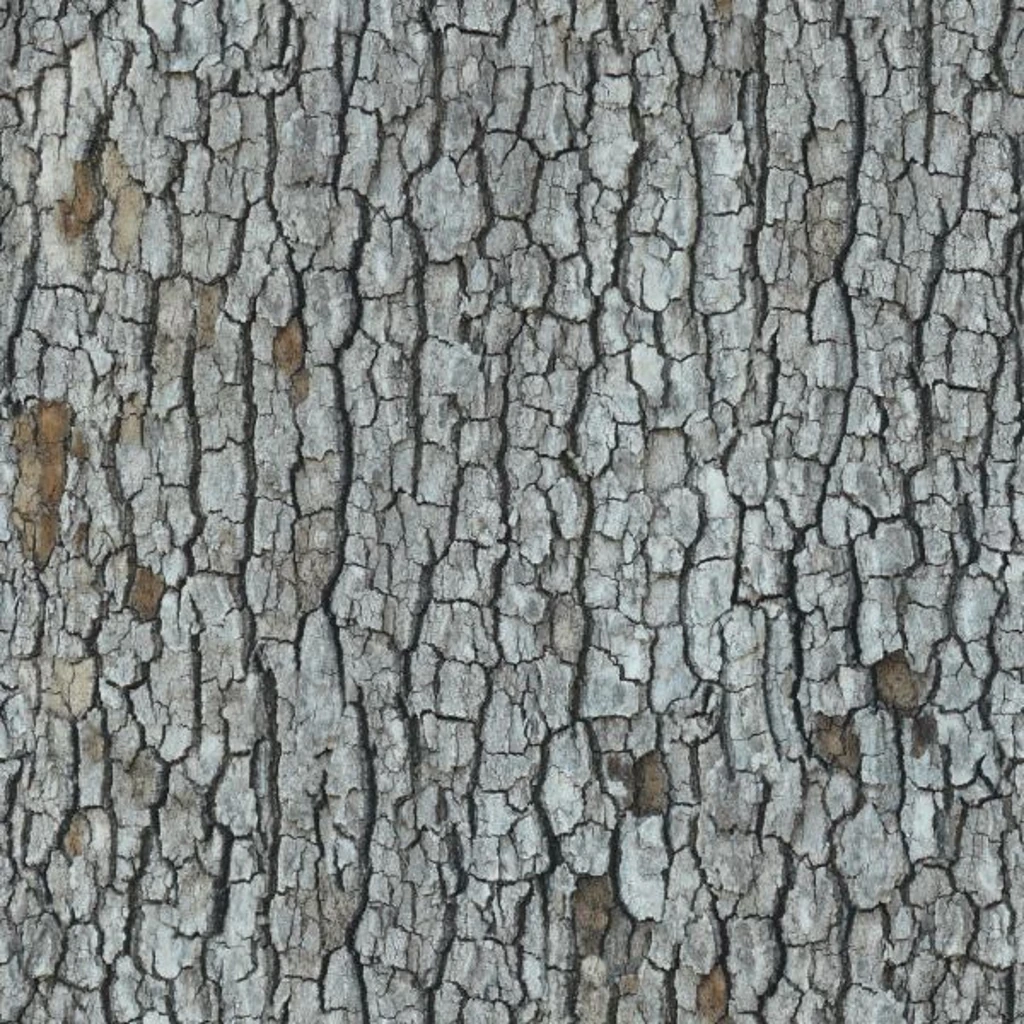 tree preview